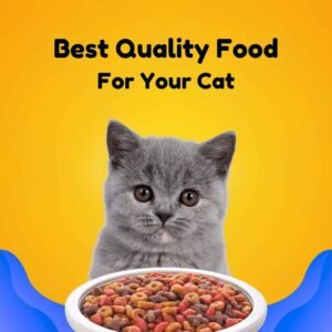 Yellow Purple Modern Abstract Pet Food Instagram Post